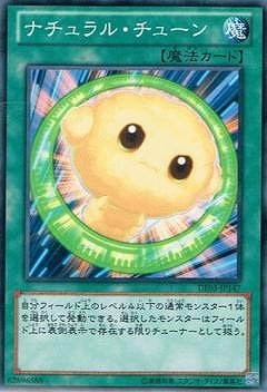 ��8��/DE03-JP147���ʥ����롦���塼��