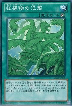 第8期/DE04-JP078 狂植物の氾濫 | 遊戯王OCG,【OCG】再販カード
