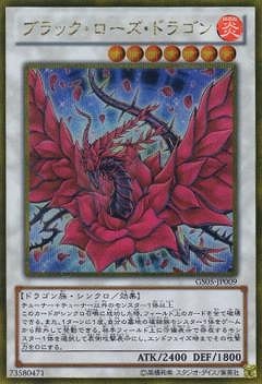 ��8��/GS05-JP009���֥�å������������ɥ饴��ڥ�����ɥ�������åȥ쥢��