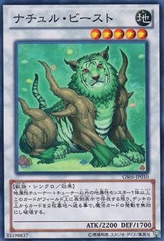 ��8��/GS05-JP010���ʥ���롦�ӡ�����