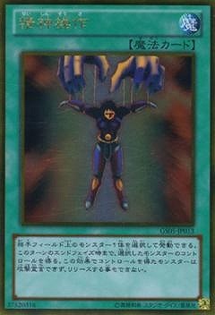 ��8��/GS05-JP013���������ڥ�����ɥ쥢��