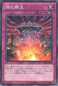 ��8��/GS06-JP016����������