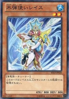 ��8��/SD23-JP020��ɹ�ƻȤ��쥤�� 