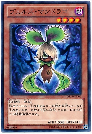 ��8��/DS13-JPD06�������륺���ޥ�ɥ饴