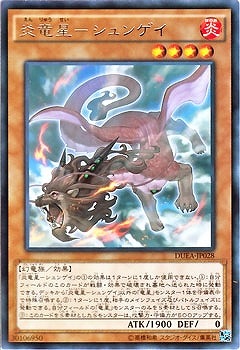 ��9��/1��/DUEA-JP028����ε���ݥ���󥲥���R