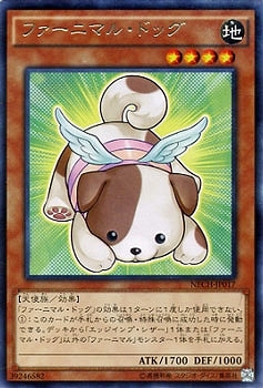 ��9��/2��/NECH-JP017���ե����˥ޥ롦�ɥå���R