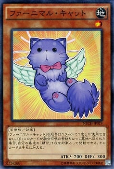 ��9��/2��/NECH-JP019���ե����˥ޥ롦����å�