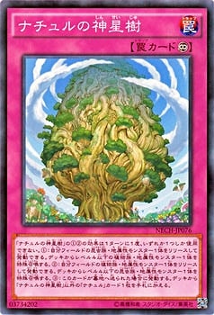 ��9��/2��/NECH-JP076���ʥ����ο�����