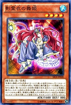 ザ・シークレット・オブ・エボリューション(SECE)