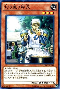 ��9��/3��/SECE-JP043���ڤ�������Ĺ��NR