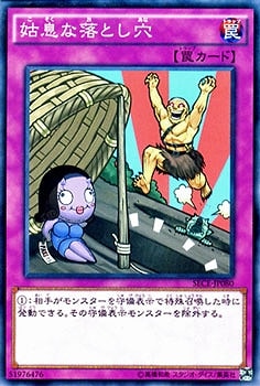 ��9��/3��/SECE-JP080����©����Ȥ��ꡡNR