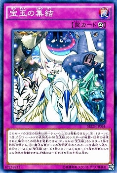 ��9��/3��/SECE-JP084�����̤ν���