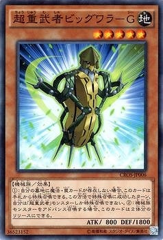 ��9��/4��/CROS-JP006��Ķ����ԥӥå����ݣ�