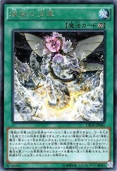 ��9��/4��/CROS-JP061�������ξòڡ�R