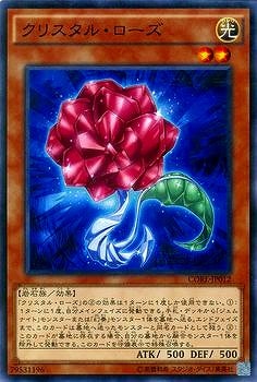 ��9��/5��/CORE-JP012�����ꥹ���롦������