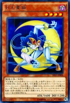 ��9��/8��/SHVI-JP008�������ǭ��R