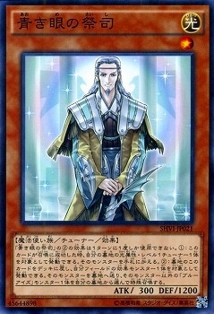 ��9��/8��/SHVI-JP021���Ĥ���κ׻�