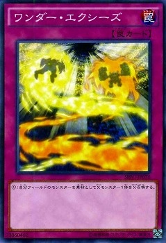 【やえば】遊戯王カード　新指定カード21枚 21ABtHohxuL._UF894,1000_QL80_.jpg