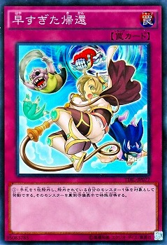 9/9/TDIL-JP077᤹ԡڥѡ쥢