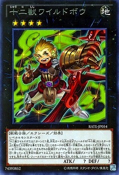 ��9��/11��/RATE-JP054������å磻��ɥܥ���R