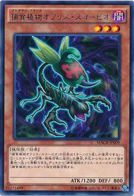 9/12/MACR-JP009ῩʪեꥹԥR