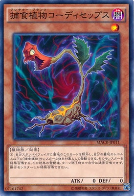 ��9��/12��/MACR-JP011���Ῡ��ʪ�����ǥ����åץ�