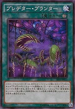 ��9��/SPFE-JP011���ץ�ǥ������ץ�󥿡��ڥ����ѡ��쥢��