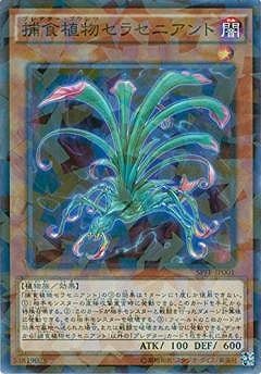 ��9��/SPFE-JP001���Ῡ��ʪ���饻�˥���ȡڥѥ����