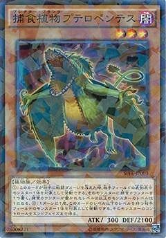 ��9��/SPFE-JP003���Ῡ��ʪ�ץƥ��ڥ�ƥ��ڥѥ����