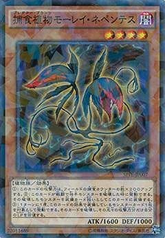 ��9��/SPFE-JP007���Ῡ��ʪ�⡼�쥤���ͥڥ�ƥ��ڥѥ����