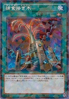 ��9��/SPFE-JP012���Ῡ�ܤ��ڡڥѥ����