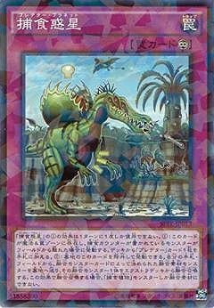 ��9��/SPFE-JP013���Ῡ�����ڥѥ����