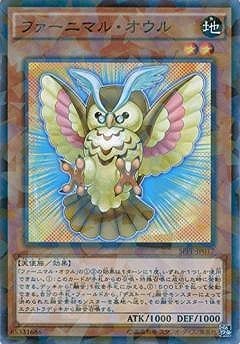 ��9��/SPFE-JP017���ե����˥ޥ롦������ڥѥ����