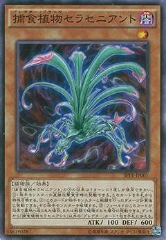 ��9��/SPFE-JP001���Ῡ��ʪ���饻�˥����