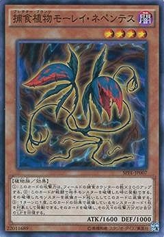 ��9��/SPFE-JP007���Ῡ��ʪ�⡼�쥤���ͥڥ�ƥ�