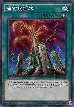 ��9��/SPFE-JP012���Ῡ�ܤ���