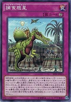 ��9��/SPFE-JP013���Ῡ����