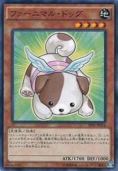 ��9��/SPFE-JP016���ե����˥ޥ롦�ɥå�