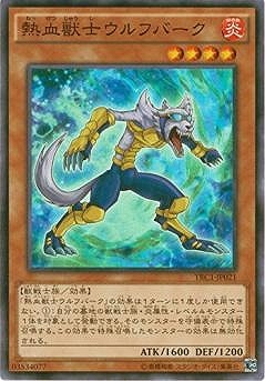 9/TRC1-JP021ǮûΥեСڥѡ쥢