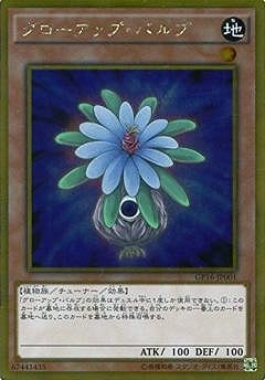 ��9��/GP16-JP001�����������åס��Х�֡ڥ�����ɥ쥢��