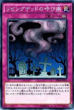 9/SD28-JP037ӥ󥰥ǥåɤθƤ