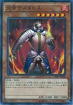 ��9��/SR01-JP008������ƥ��������ڥѥ����