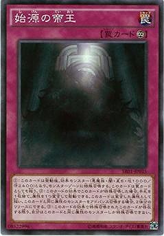 ��9��/SR01-JP035���ϸ����벦