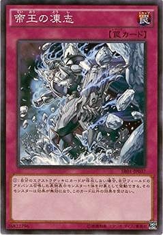 ��9��/SR01-JP037���벦�����