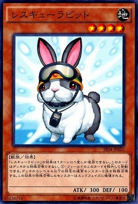 ��9��/SR04-JP020���쥹���塼��ӥå�