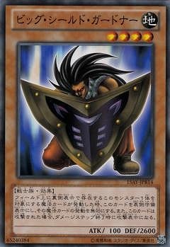 第9期/15AY-JPB14 ビッグ・シールド・ガードナー | 遊戯王OCG,【OCG