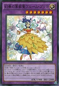 ��9��/DBLE-JP008�����դβڲ����֥롼�ࡦ�ץ�ޡڥѥ����