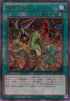 ��9��/DBLE-JP005���Ῡ�����ڥ���ȥ�ѥ���쥢��