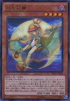 ��9��/DBLE-JP010������̿��ڥ���ȥ�ѥ���쥢��