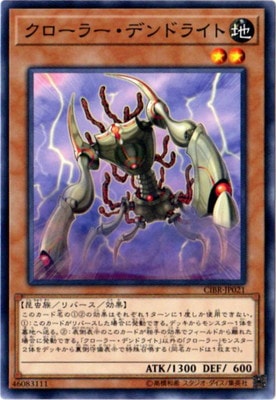 ��10��/02��/CIBR-JP021���������顼���ǥ�ɥ饤��